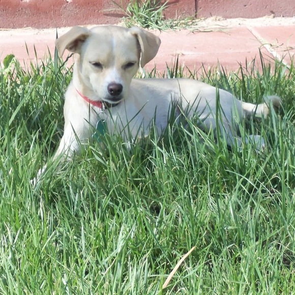 Meet your Posher, Mona - Picture 8 of 14